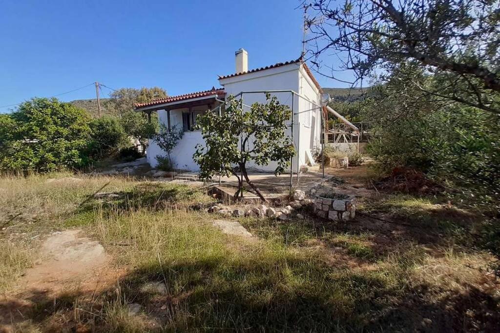 Elafonisos Detached House In Quiet Olive Grove, Starlink Internet & Smart Projector! Villa Ngoại thất bức ảnh