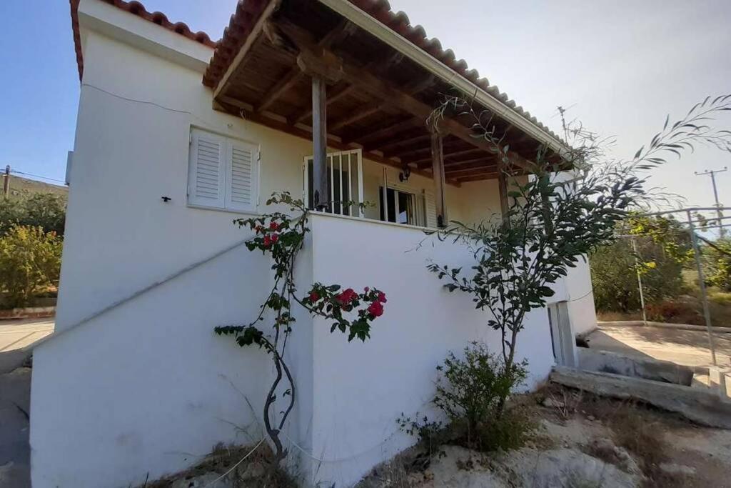Elafonisos Detached House In Quiet Olive Grove, Starlink Internet & Smart Projector! Villa Ngoại thất bức ảnh